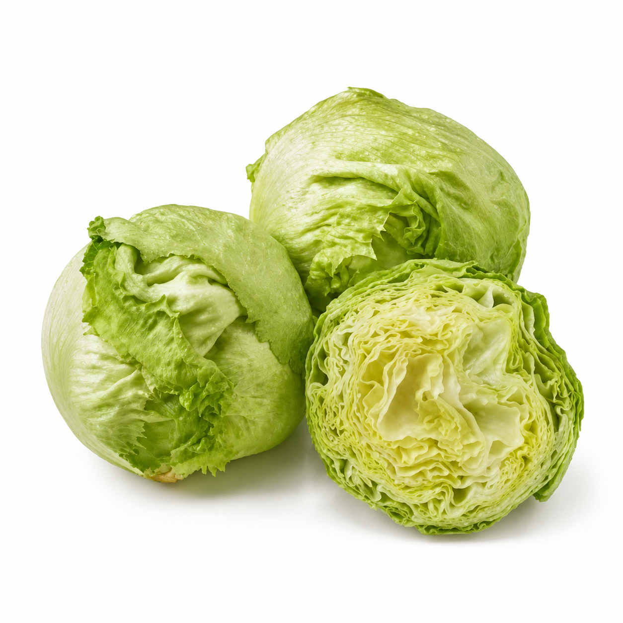 Iceberg Lettuce